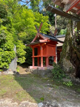 井栗神社(春日大社末社)の参拝記録(⛩️🐍🐢まめ🐢🐍⛩️さん)