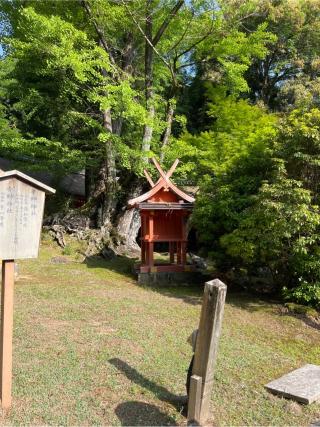 穴栗神社(春日大社末社)の参拝記録(⛩️🐍🐢まめ🐢🐍⛩️さん)