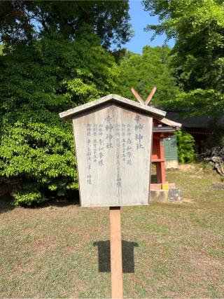 青榊神社(春日大社末社)の参拝記録(⛩️🐍🐢まめ🐢🐍⛩️さん)