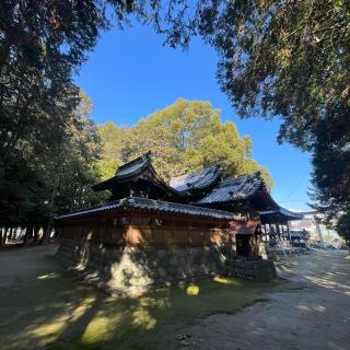龍神社の参拝記録(にゃべさん)