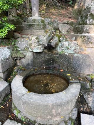 榎本神社（春日大社摂社）の参拝記録(⛩️🐍🐢まめ🐢🐍⛩️さん)