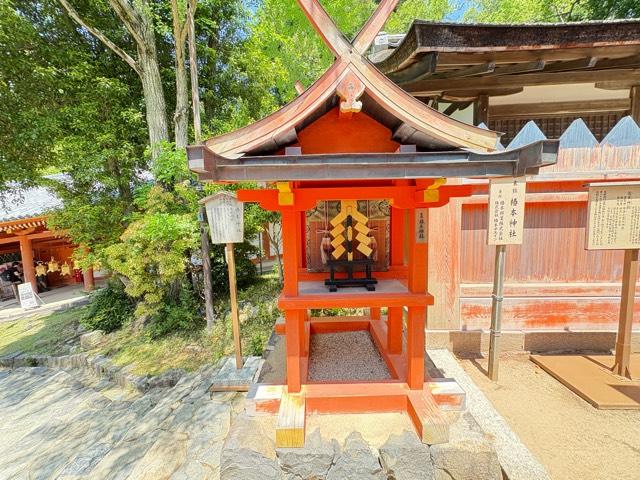 椿本神社(春日大社末社)の参拝記録5