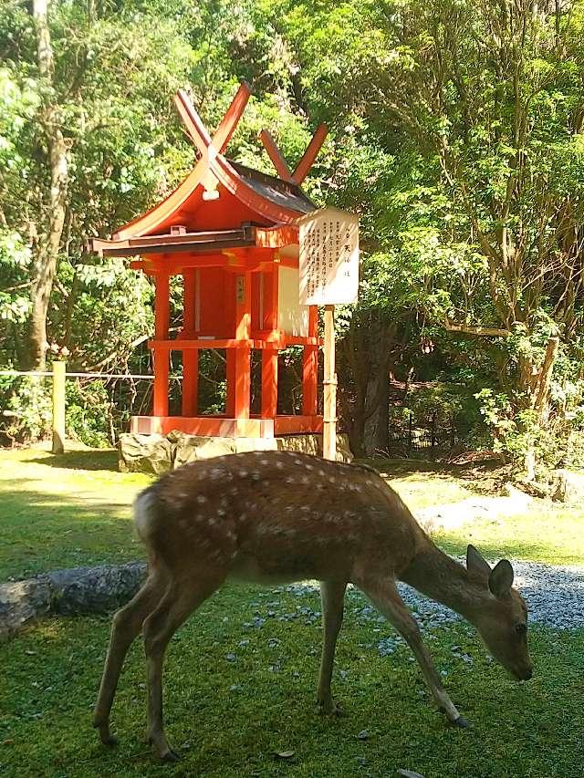天神社(春日大社境内社)の参拝記録1
