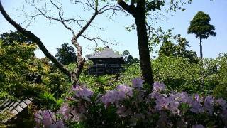 大悲山 楠光院 笠森寺(笠森観音)の参拝記録(松さん)