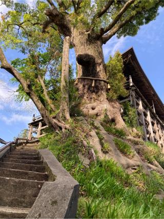 大悲山 楠光院 笠森寺(笠森観音)の参拝記録(まさるさん)