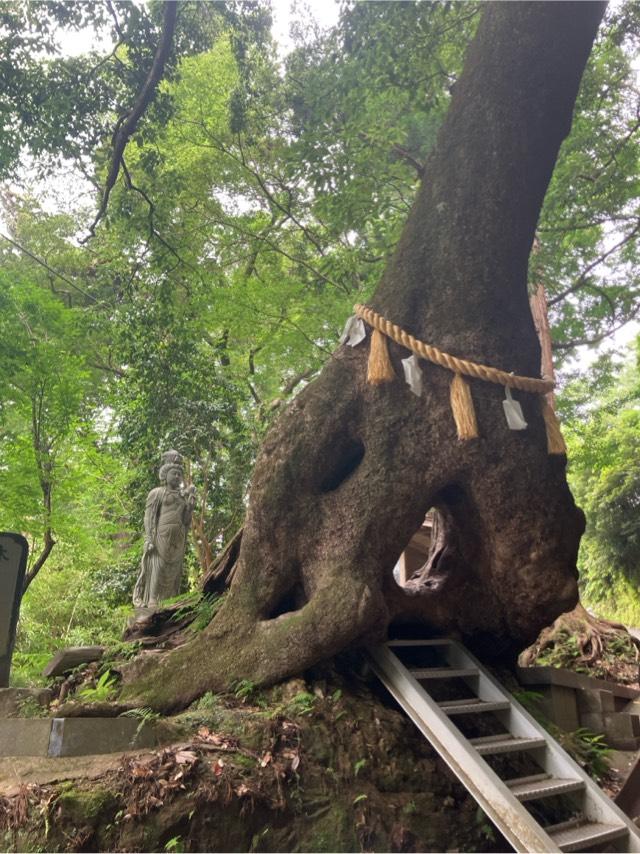 大悲山 楠光院 笠森寺(笠森観音)の参拝記録8