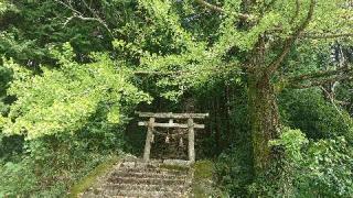 荒川神社の参拝記録(matsuyoshi49さん)