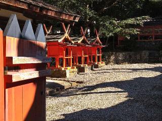 杉本神社(春日大社末社)の参拝記録(監督まっちゃんさん)