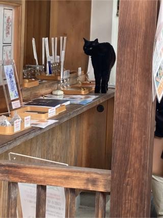 御嶽神社茅萱宮の参拝記録(すももさん)