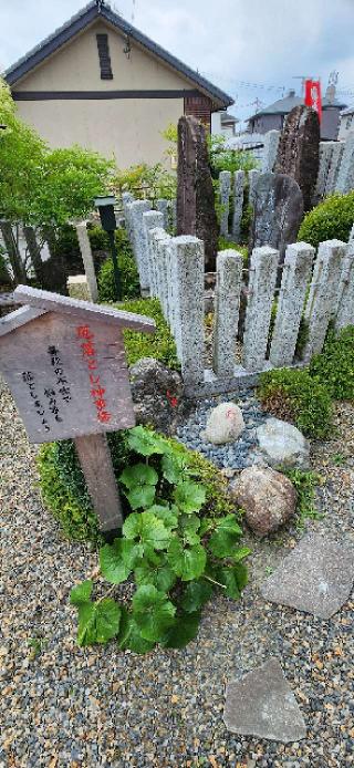 御嶽神社茅萱宮の参拝記録(まぁちゃんさん)