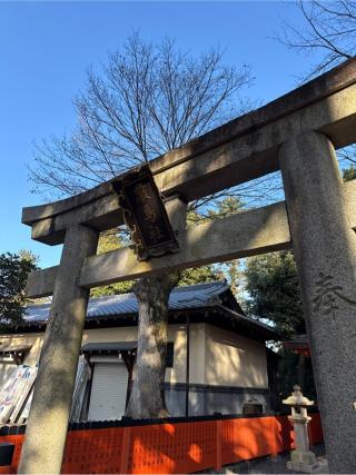 厳島社(八坂神社)の参拝記録(⛩️🎠🐢まめ🐢🎠⛩️さん)