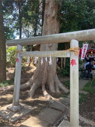 馬場稲荷神社(馬場氷川神社境内社)の参拝記録(⛩️🐍🐢まめ🐢🐍⛩️さん)
