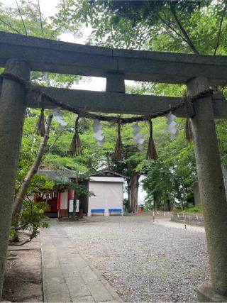 十二神社(玉前神社 摂社)の参拝記録(⛩️🐍🐢まめ🐢🐍⛩️さん)