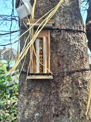 太田姫稲荷神社・元宮(太田姫神社・元宮)の参拝記録(まーさんさん)