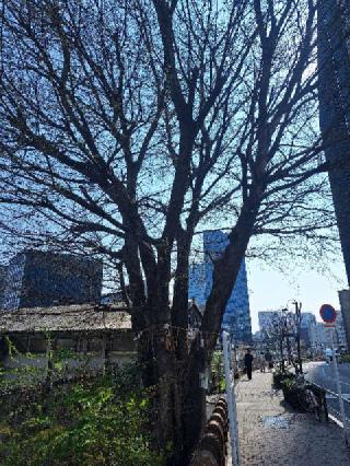 太田姫稲荷神社・元宮(太田姫神社・元宮)の参拝記録(まーさんさん)