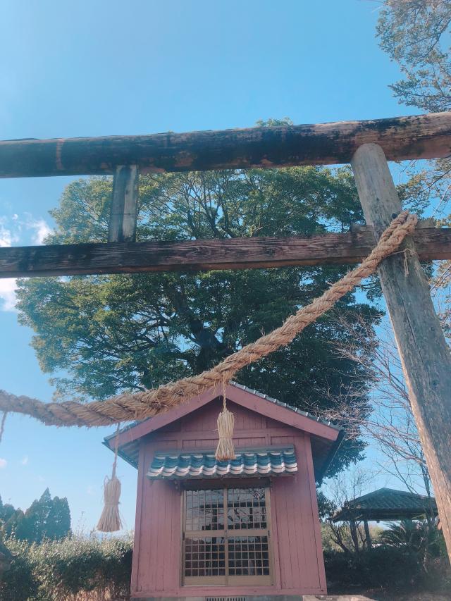 住吉神社の参拝記録( 14th moonさん)