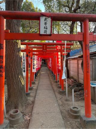 武芳稲荷大明神(雑司ヶ谷鬼子母神堂境内)の参拝記録(せきちゃんさん)