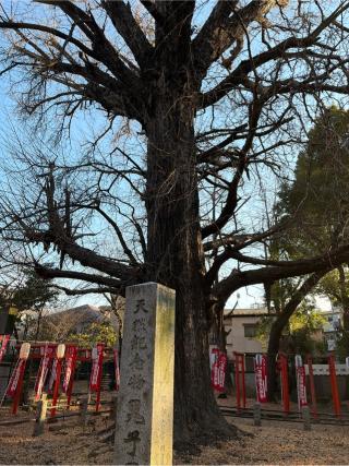 武芳稲荷大明神(雑司ヶ谷鬼子母神堂境内)の参拝記録(せきちゃんさん)