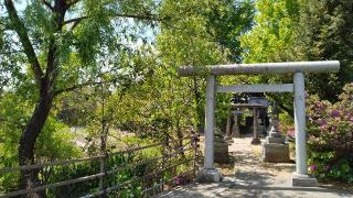 青龍神社の参拝記録(Daisy ♂さん)