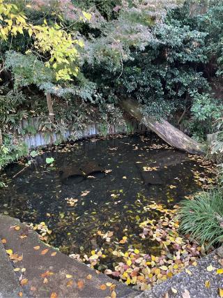 豊楽園神社の参拝記録(せきちゃんさん)