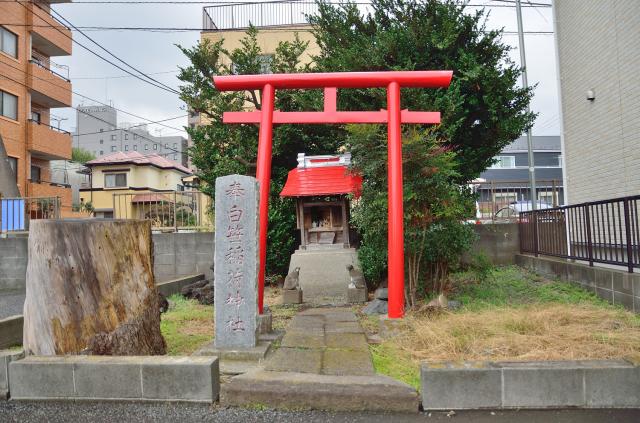 神奈川県相模原市中央区上溝5-1 白笹稲荷神社の写真1