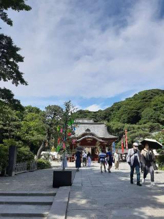 鶴岡八幡宮舞殿の参拝記録(あられさん)