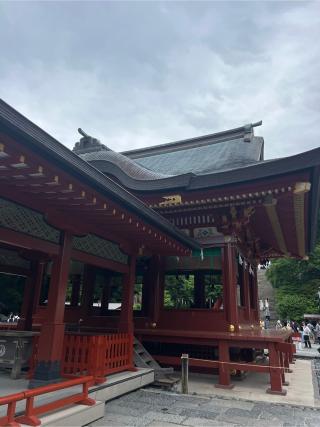 鶴岡八幡宮舞殿の参拝記録(⛩️🐍🐢まめ🐢🐍⛩️さん)