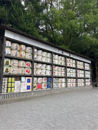 鶴岡八幡宮舞殿の参拝記録(⛩️🐍🐢まめ🐢🐍⛩️さん)