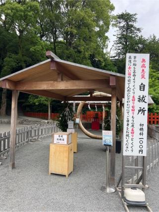 鶴岡八幡宮舞殿の参拝記録(⛩️🐍🐢まめ🐢🐍⛩️さん)