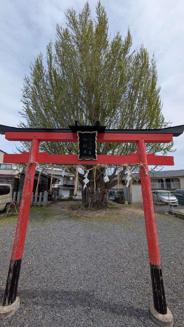 八大龍王弁財天の参拝記録1