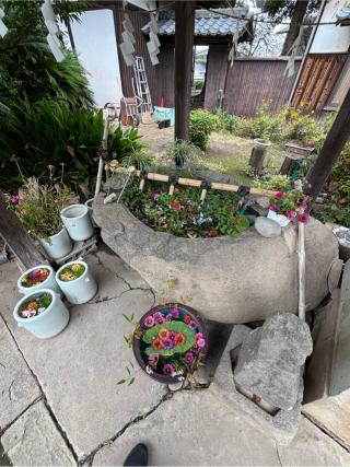 櫻岡神社の参拝記録(弥栄さん)