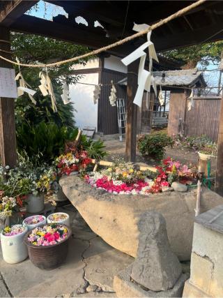 櫻岡神社の参拝記録(りんさん)