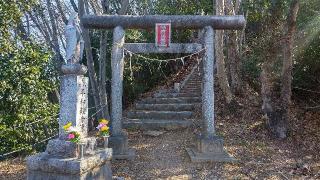 浅川金刀比羅神社の参拝記録(まっちゃんさん)