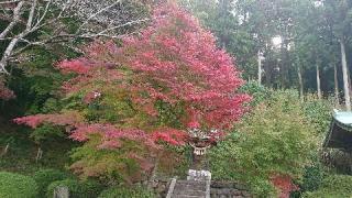 杉森神社の参拝記録(matsuyoshi49さん)