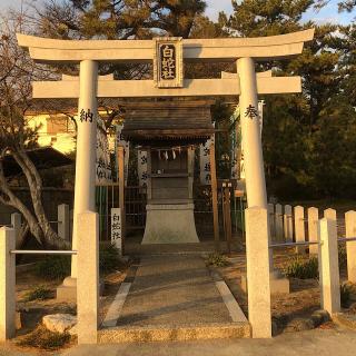 白蛇社（大濱熊野大神社境内）の参拝記録(ワヲンさん)