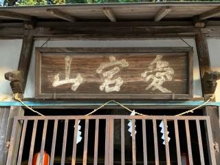 愛宕山神社の参拝記録(智恵子さん)
