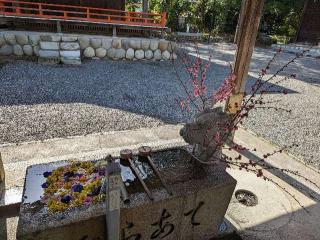 三霊神社（三輪神社境内社）の参拝記録(こびのもぐらさん)