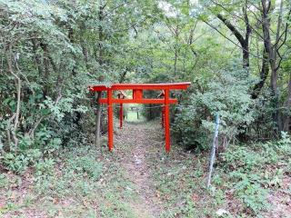 丸山稲荷神社の参拝記録(気ままな御朱印記録さん)