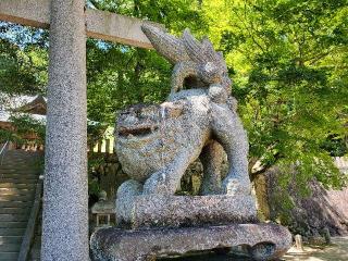 臼山八幡神社の参拝記録(飛成さん)