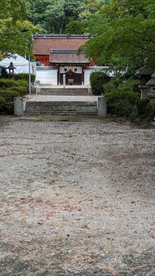 壺井権現社の参拝記録(たこやきさん)