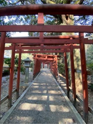 正一位稲荷神社(手力雄神社境内社)の参拝記録(二代目無宿さん)