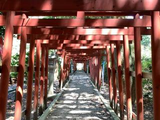 正一位稲荷神社(手力雄神社境内社)の参拝記録(くーさん)