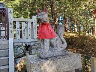 正一位稲荷神社(手力雄神社境内社)の参拝記録(飛成さん)