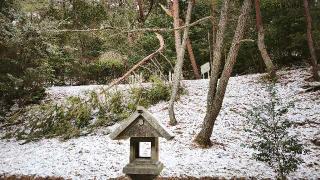 阿豆枳島神社の参拝記録(Y.1966.Sさん)