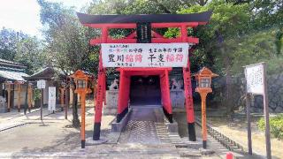 稲荷社（素盞烏尊神社末社）の参拝記録(オトギリルさん)