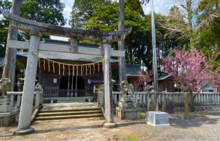 日枝神社の参拝記録(二代目無宿さん)