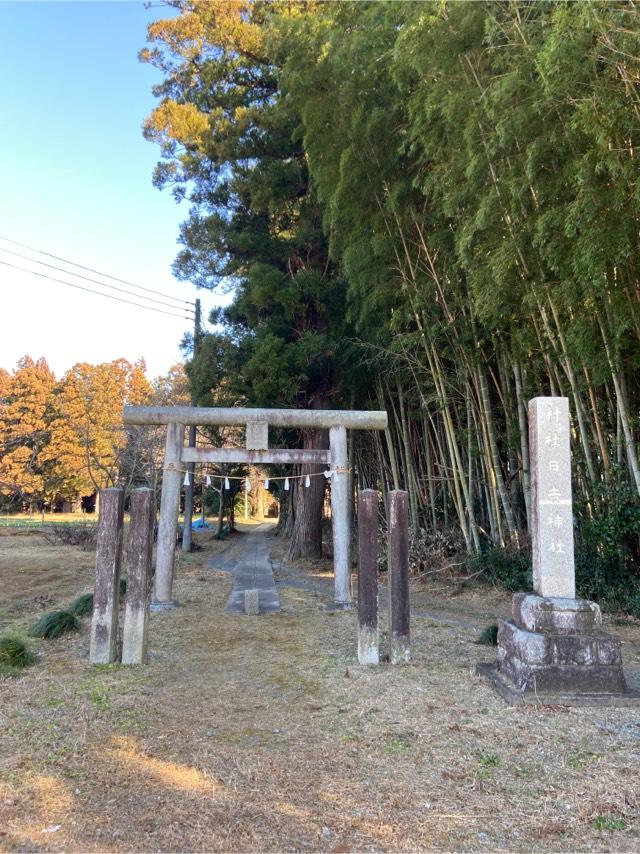 日吉神社の参拝記録(シャモさん)