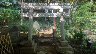 富士浅間神社(杵築大社境内社)の参拝記録(まっちゃんさん)