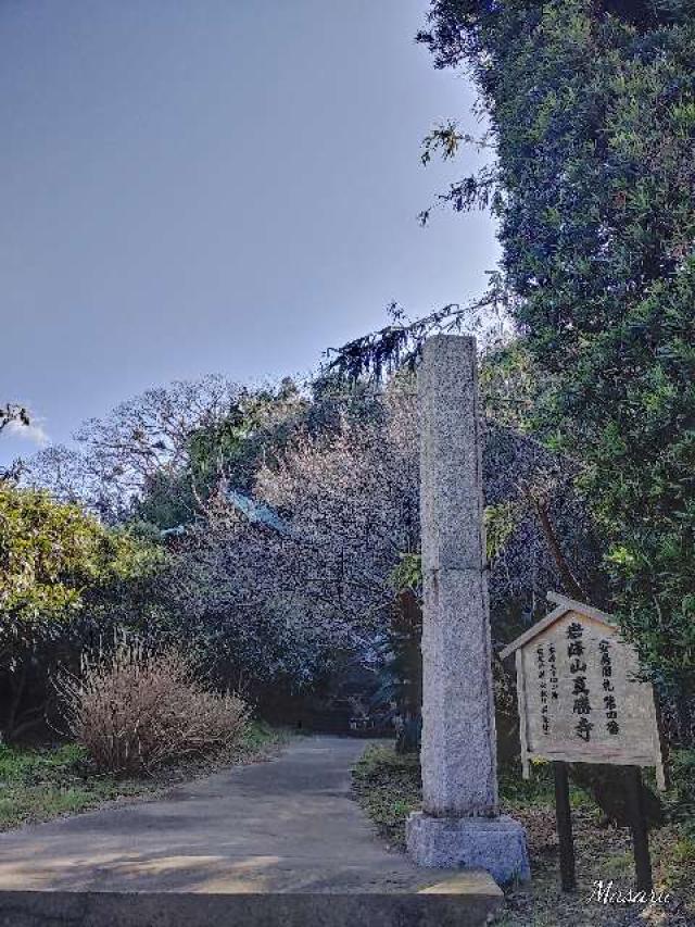岩峰山 真勝寺の参拝記録2