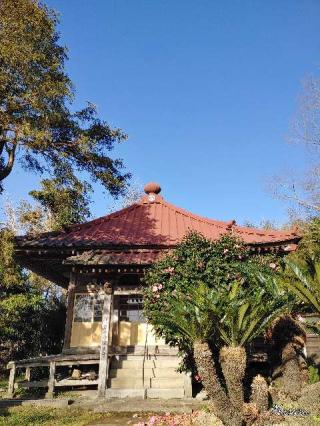 往生寺 密厳院の参拝記録(さるさん)